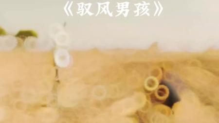 [文]剧情电影《驭风男孩》解说文案