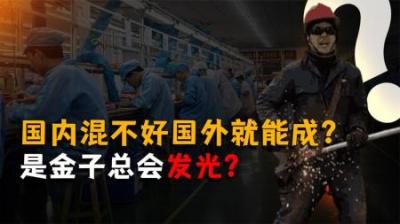 [视]“国内都混不好，凭什么到国外就能成功？”是金子总会发光？