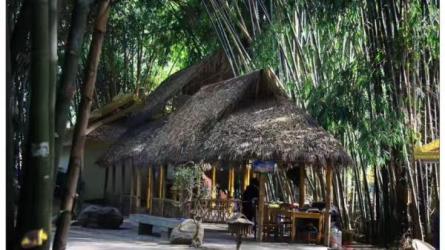 02-《最强大脑》冠军教练亲授：20堂超实用记忆术，教你快...-课程-网盘资源分享