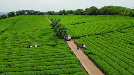 [文]喜剧《春天不是读书天》电影解说文案