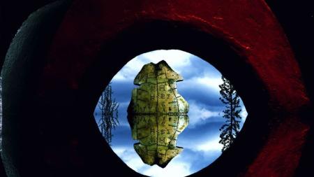 [文]爱情《事物的秘密》电影解说文案