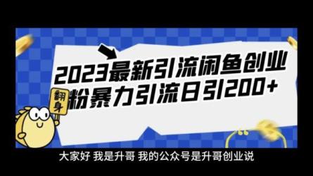 2023网创类粉引流术，自用引流涨粉方法发布，实现被动流量-课程-网盘资源分享