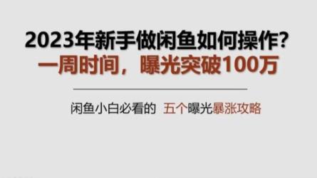 2023最火最新版外面1988上车的闲鱼自动收货源码带搭建教程-课程-网盘资源分享