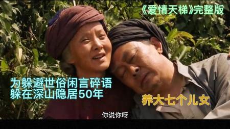 [文]爱情电影《爱情天梯》解说文案