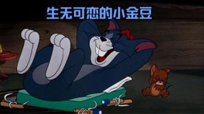[视]汤姆猫变成老鼠后将小金豆欺负的生无可恋，你喜欢这样的汤姆猫吗