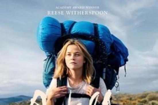 剧情电影《涉足荒野》解说文案