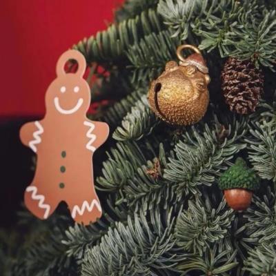 【感悟】一个爱国主义人物的感悟（爱国主义故事和感悟）