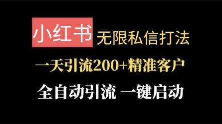 2024网红同款截流玩法[初级+高级]-课程-网盘资源分享