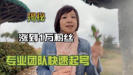 20天快速起号，打造一个日...纸号（价值688）-课程-网盘资源分享