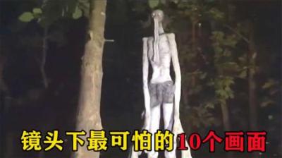 [视]胆小慎入！盘点世界6大未被证实的不明生物，最后一个太吓人