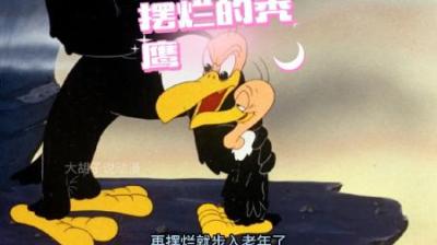[视]秃鹰捕猎时却无意间抢走小羊的外衣，失败的他没有放弃