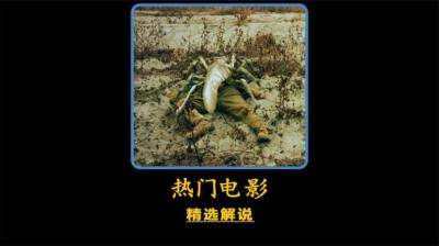 第1643集 诡异的镜子 3[附音频]