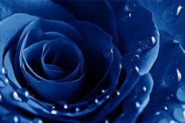 2023考研数学-课程-网盘资源分享