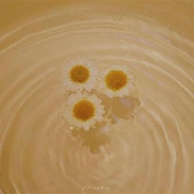 【伤感】关于风悲伤的说说（起风了的心情说说）