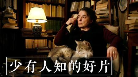 [文]剧情《刺猬的优雅》电影解说文案