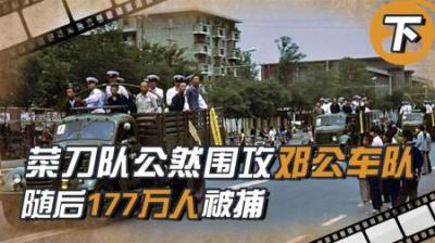 [视]全国严打有多狠？中央两年抓捕177万人，邓公：必须扫除菜刀队