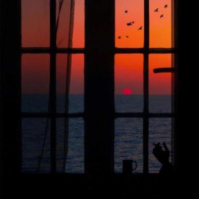 【感悟】良渚文化遗址感悟（良渚古城是如何创新遗址体验的）