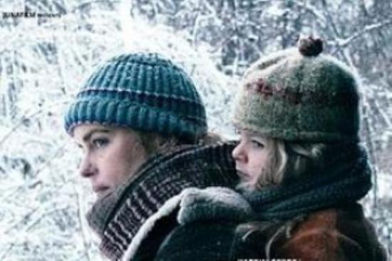 悬疑电影《鹈鹕之血》影评 解说素材 观后感