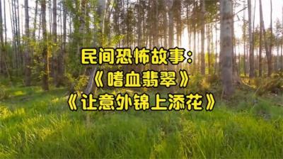 第816集 让意外锦上添花 1[附音频]