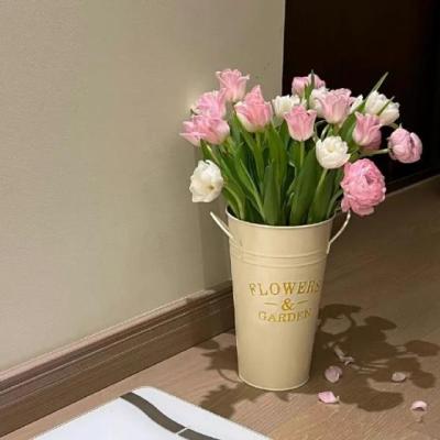 【励志】描写芒果树的名人名言（描写芒果树样子句子）