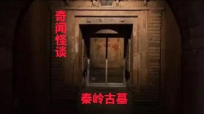 第764集 坟前巨蟒[附音频]