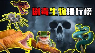 [视]一碰即死！盘点8种毒性最强的生物，谁才是自然界的“毒王”