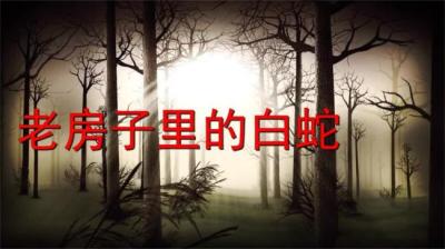老房子里的白蛇[附音频]