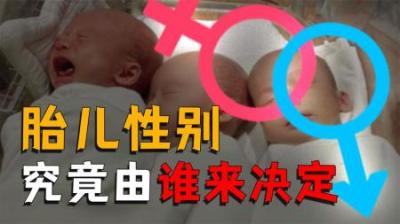 [视]你知道胎儿的性别是由谁决定吗？转胎丸能否影响胎儿性别？
