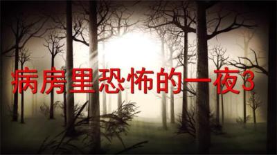 第911集 病房里恐怖的一夜 1[附音频]