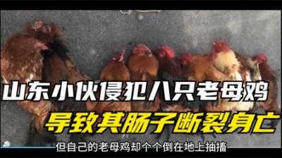 [视]一小伙半夜看电影饥渴难耐，竟然欲对母鸡图谋不轨？