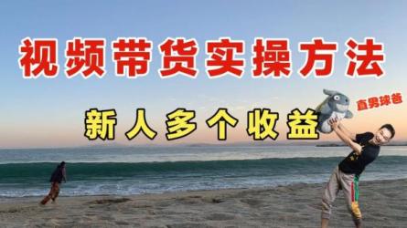 0基础值播带货实操，三大体系成就销售百万带货主播-课程-网盘资源分享