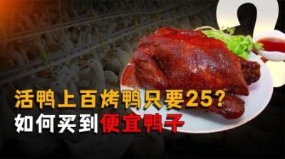 [视]一只活鸭上百元，一只烤鸭只要25块？你是如何买到便宜的鸭子的？