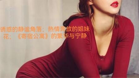 [文]剧情电影《寄宿公寓》解说文案 解说素材