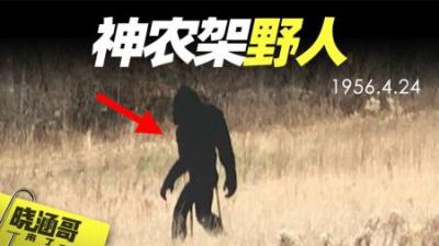 [视]神农架野人又来了？上千人亲眼目睹，真相超乎你的想象！