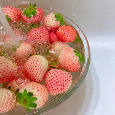 【爱情】关于缘分情感的感悟（感悟人生缘分情感语录）