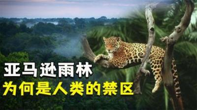 [视]动物天堂却是“人类禁区”，亚马逊雨林藏着什么，为何如此恐怖？