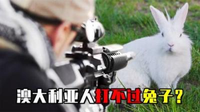 [视]澳大利亚野兔泛滥成灾，人兔大战1个世纪，100亿只野兔无人敢吃？
