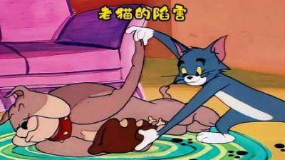 [视]杰瑞被老猫陷害导致身败名裂，从此展开复仇之路#童年经典动画片