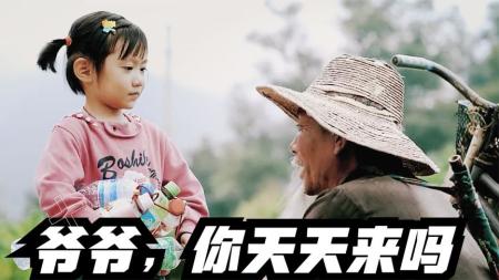 [文]剧情《八十一枚金币》电影解说文案