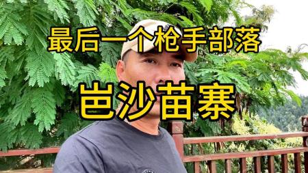 [文]剧情电影《最后一个枪手》解说文案