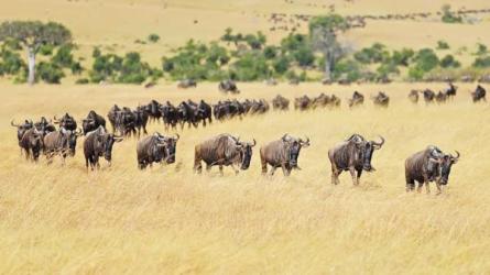 30堂数学趣味课-课程-网盘资源分享