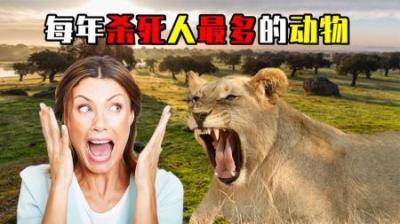 [视]每年杀死人最多的8种动物，第一名就在我们身边！