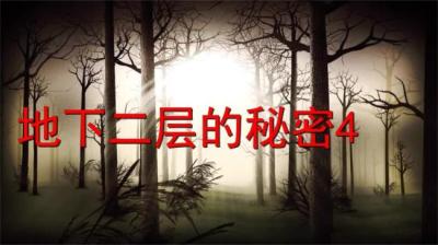 第863集 地下二层的秘密 4[附音频]