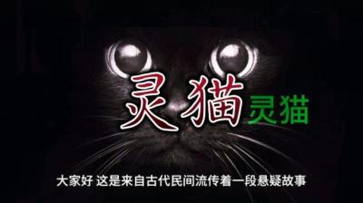 第2096集 灵猫[附音频]