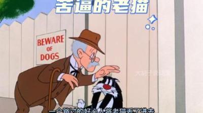 [视]老猫遭到小鸟的嘲笑，决心给他一些教训，可最终也没能如愿