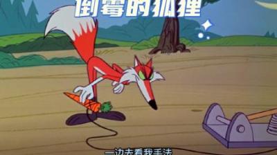 [视]狐狸为了吃到兔子设计了无数陷阱，可每次都是坑到自己