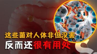 [视]人体中的“菌”你知道多少？它对我们到底有害还是有益呢？
