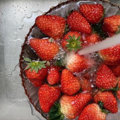 【唯美】关于风信子美丽的名言（描写风信子的优美段落）