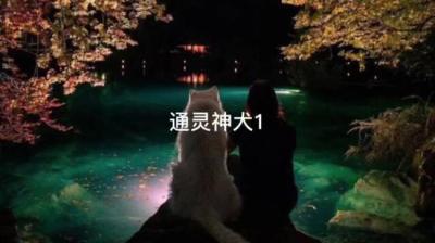 通灵神犬 上[附音频]