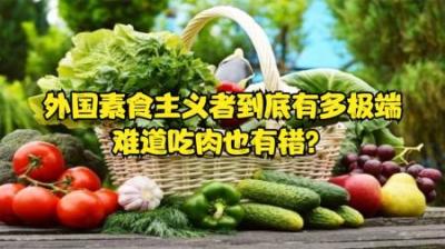 [视]素食主义者的猫最终却爱上了吃肉#怀旧动画 #童年经典动画片